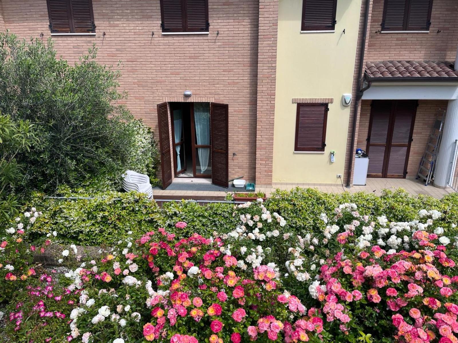 Terrazza Gallo San Costanzo